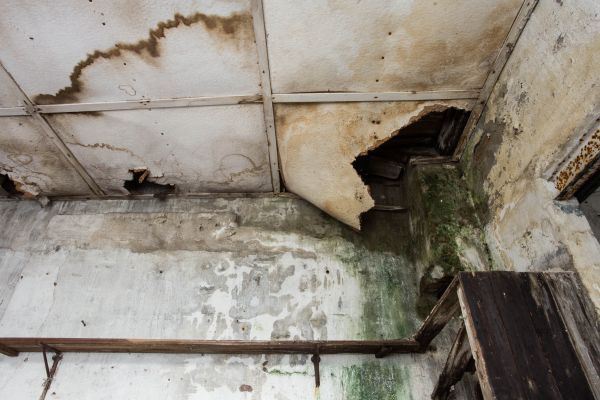 Water Damage Service in Cedar Park
