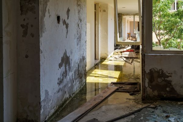 Cost of Water Removal Service in Cedar Park